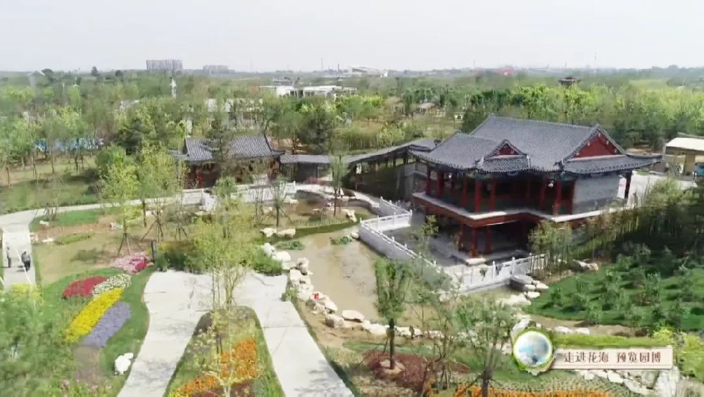 滄州園項目喜獲河北省園博會“造園藝術(shù)綜合獎金獎”